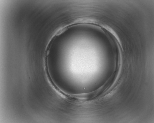 X0000069790997200605191033