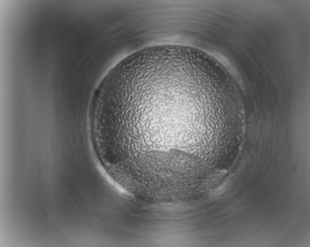 X0000069790998200605191033