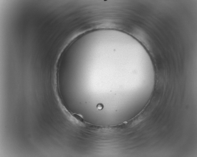 X0000069791000200605191033