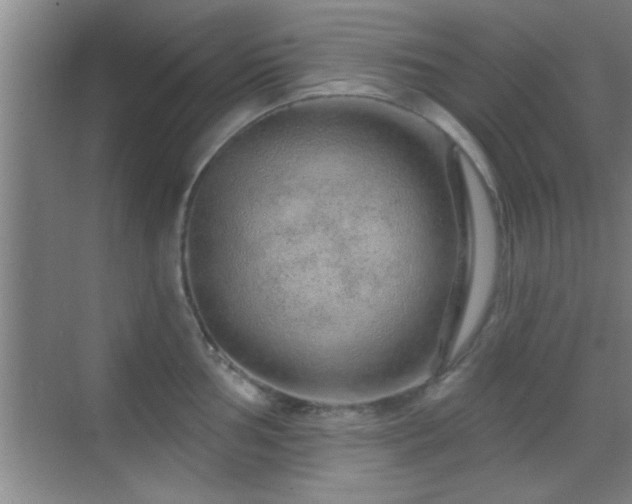 X0000069791002200605191033