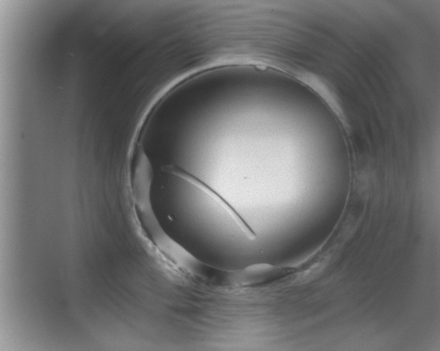 X0000069791004200605191033