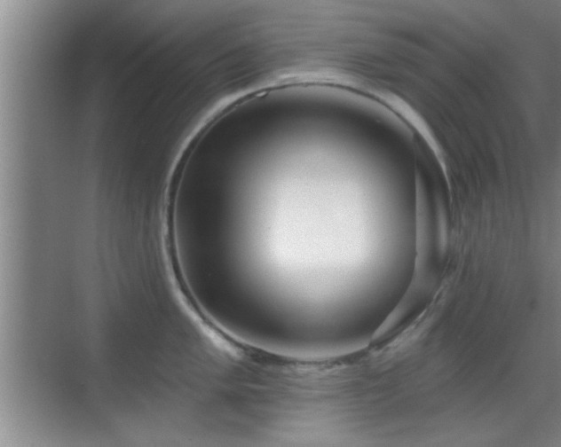 X0000069791005200605191033