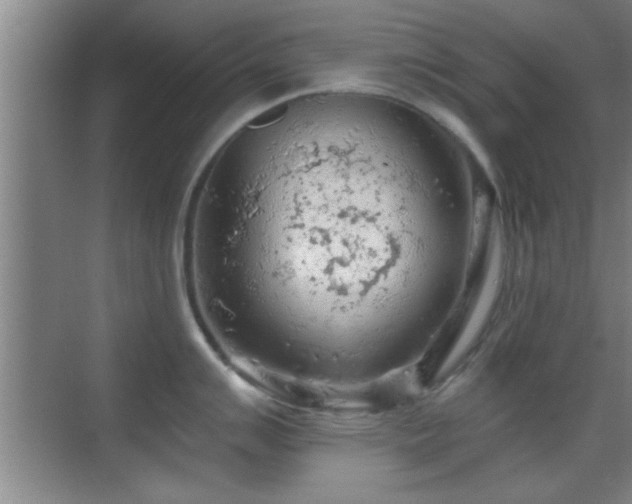 X0000069791007200605191033