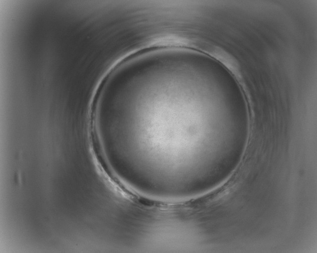 X0000069791008200605191033