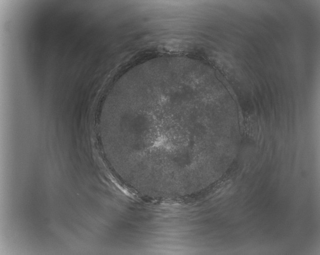 X0000069791009200605191032