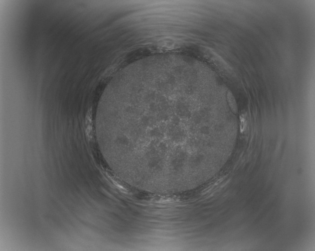 X0000069791011200605191033