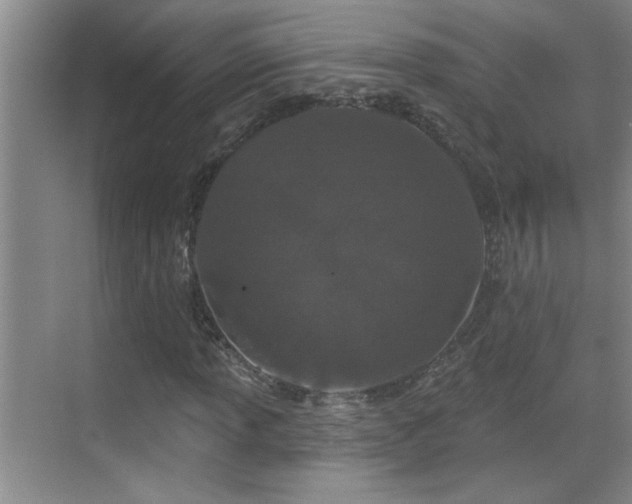 X0000069791013200605191033