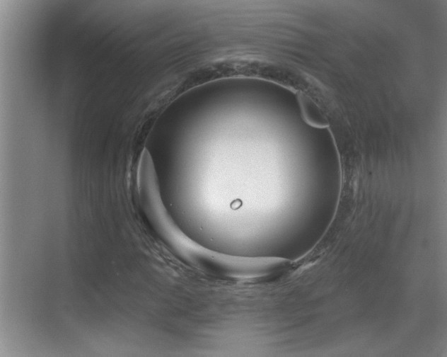 X0000069791014200605191033