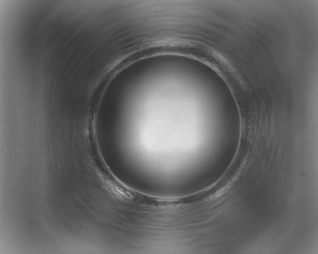 X0000069791017200605191033