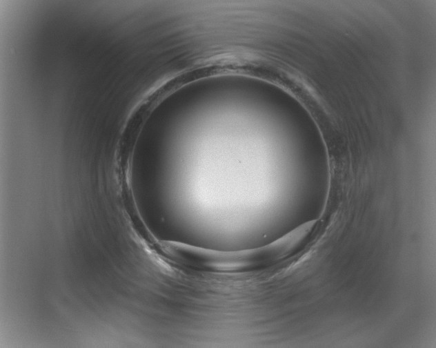 X0000069791018200605191033