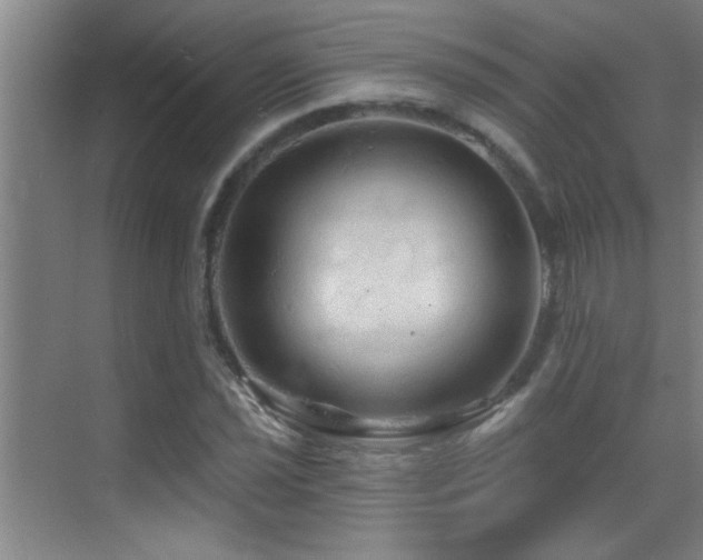 X0000069791021200605191033