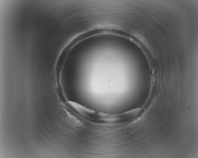 X0000069791022200605191033