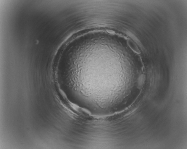 X0000069791023200605191033