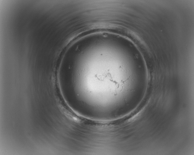 X0000069791025200605191033