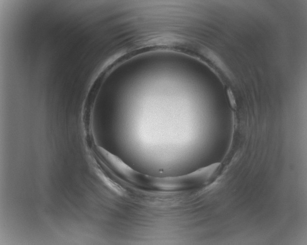 X0000069791026200605191033