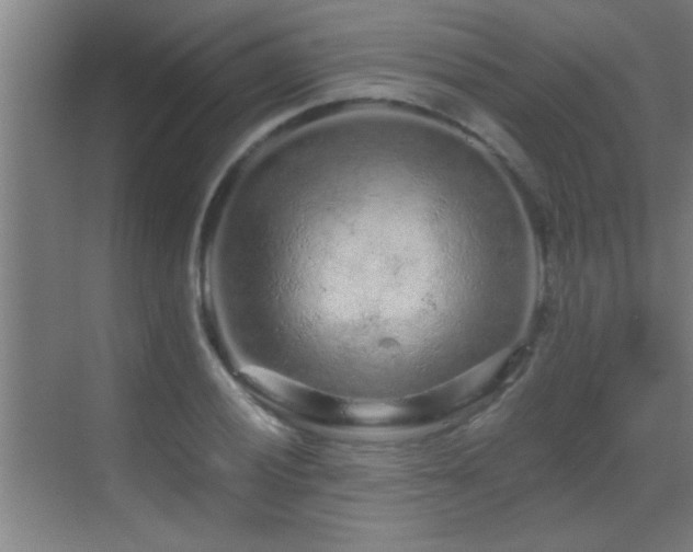 X0000069791028200605191033