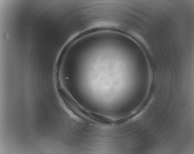 X0000069791029200605191033