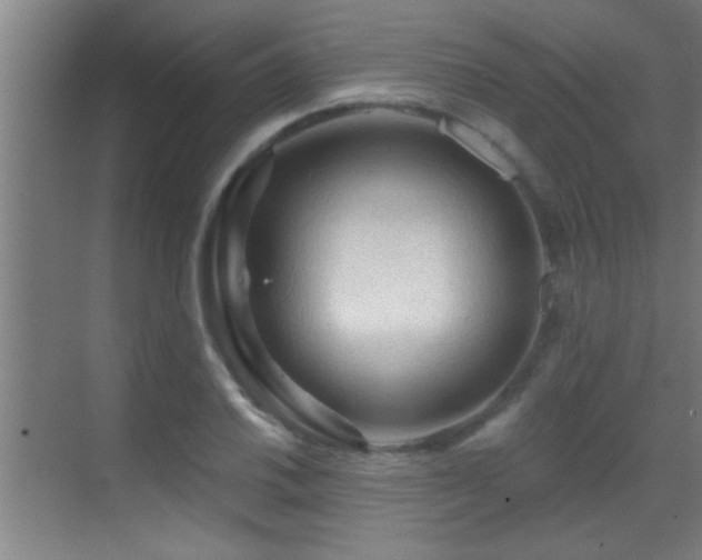 X0000069791030200605191033