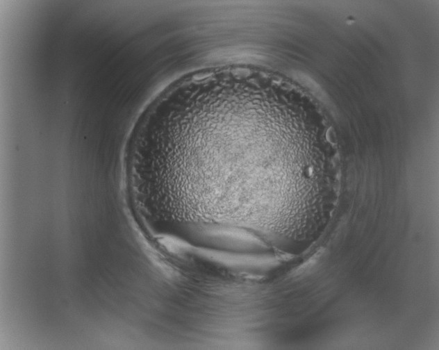 X0000069791031200605191033