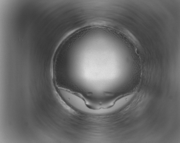 X0000069791036200605191033