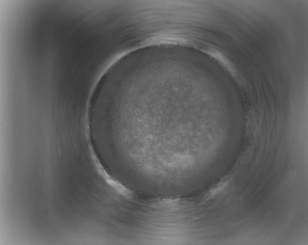 X0000069791038200605191033