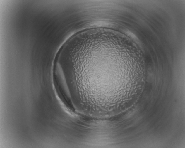 X0000069791039200605191033