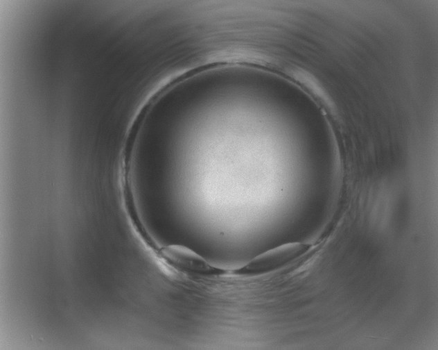 X0000069791040200605191033