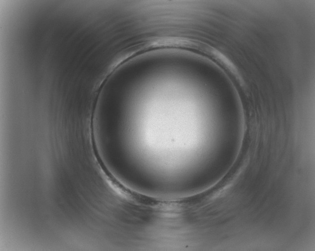 X0000069791041200605191033