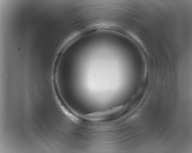 X0000069791042200605191033