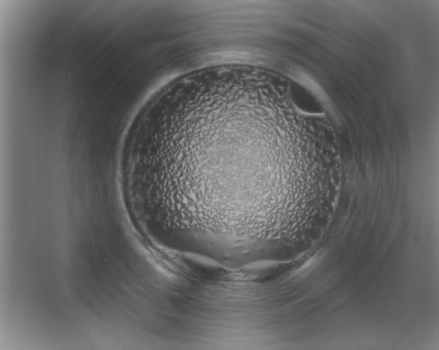 X0000069791043200605191033