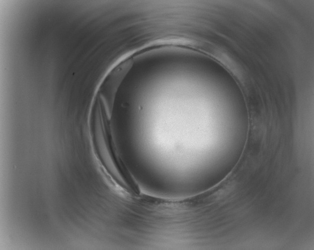 X0000069791044200605191033