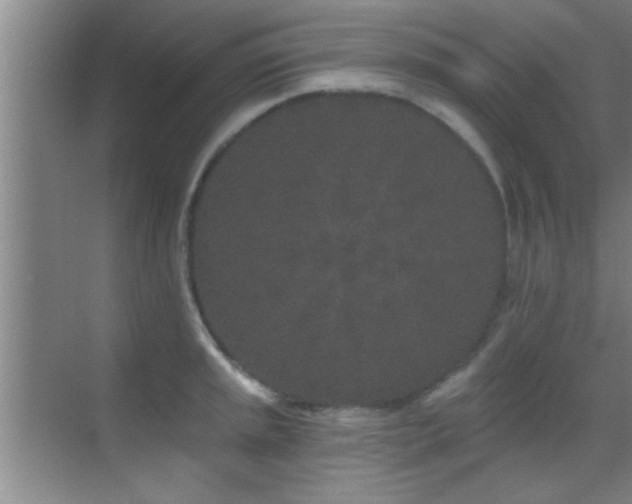 X0000069791045200605191033