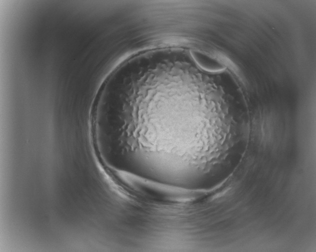 X0000069791047200605191033