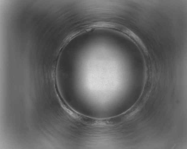 X0000069791049200605191033