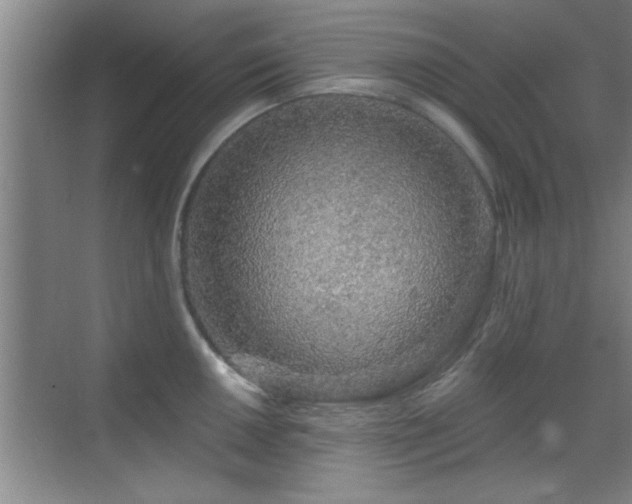 X0000069791050200605191033