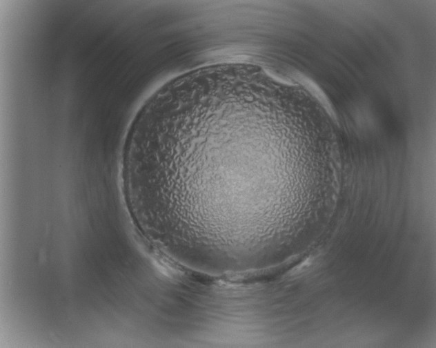 X0000069791051200605191033