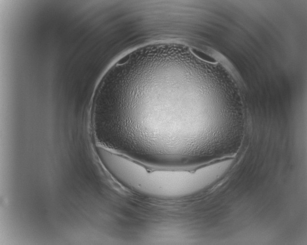 X0000069791052200605191033