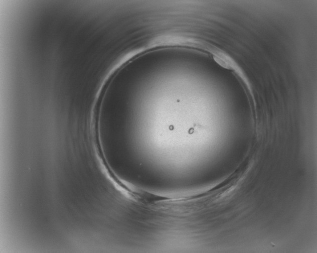 X0000069791053200605191033