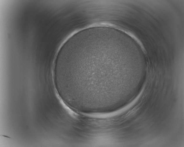 X0000069791054200605191033