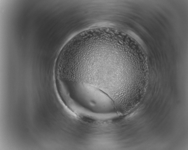 X0000069791055200605191033