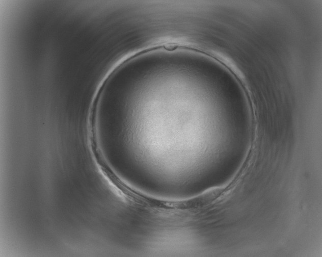 X0000069791056200605191033