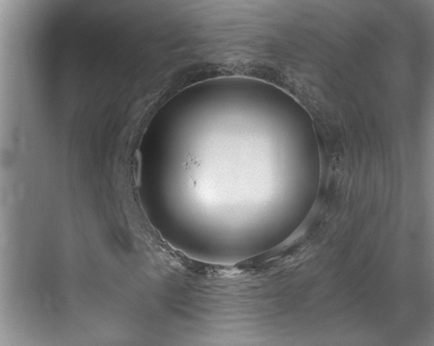 X0000069791057200605191032