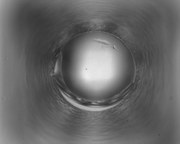 X0000069791058200605191032