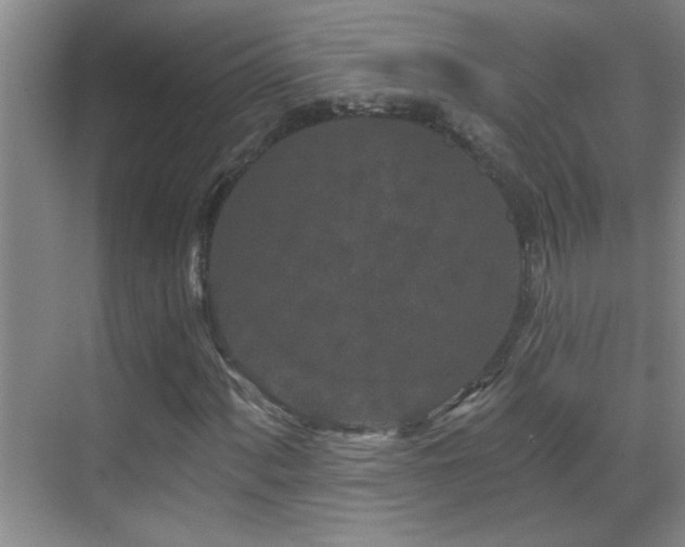 X0000069791060200605191032