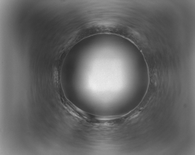 X0000069791061200605191032