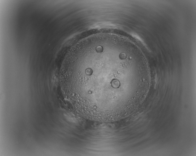 X0000069791063200605191032