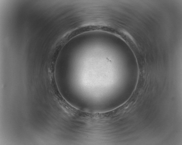 X0000069791064200605191032