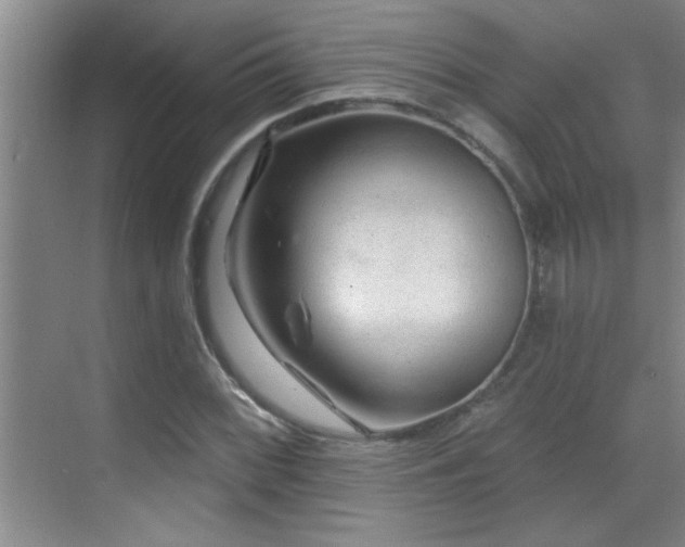 X0000069791068200605191032