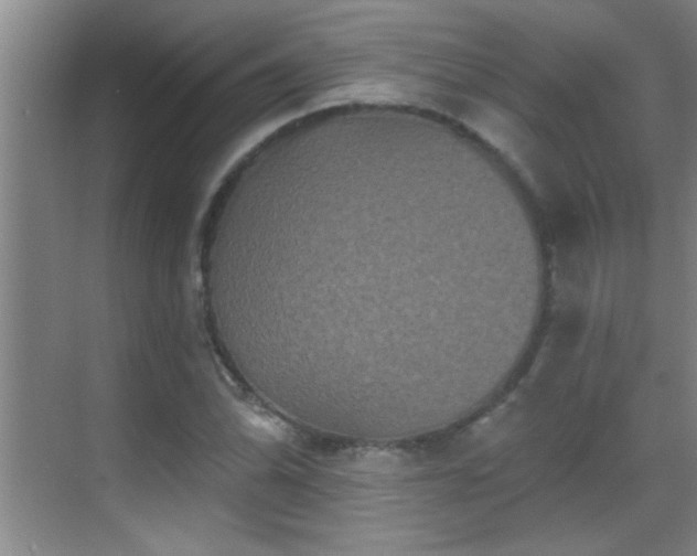 X0000069791070200605191032