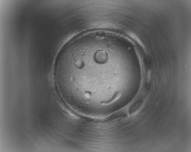 X0000069791071200605191032